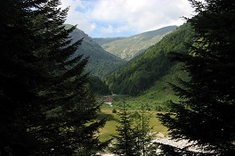 Novidimenzii/ViktorAntovski.to Leshnica