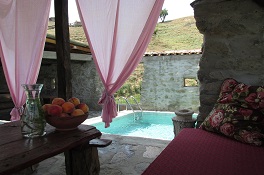 countryside bazen days